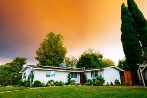 exterior window films