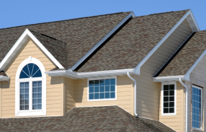 Residential Window Tinting